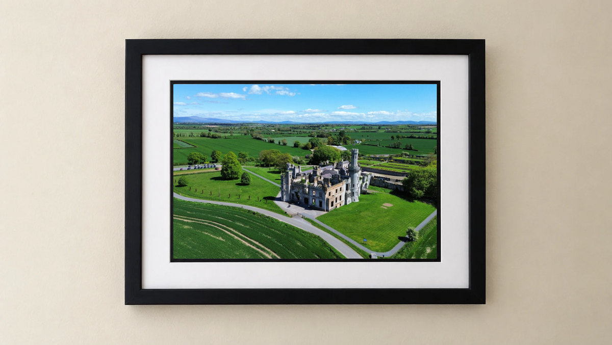 Ducketts Grove - Premium Framed Drone Print.