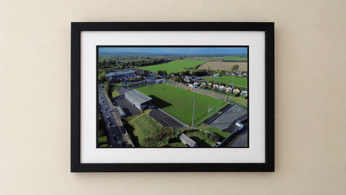 Netwatch Cullen Park - Premium Framed Drone Print